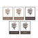 BROW KIT LAMINATED LOOK - SOFT BROWN